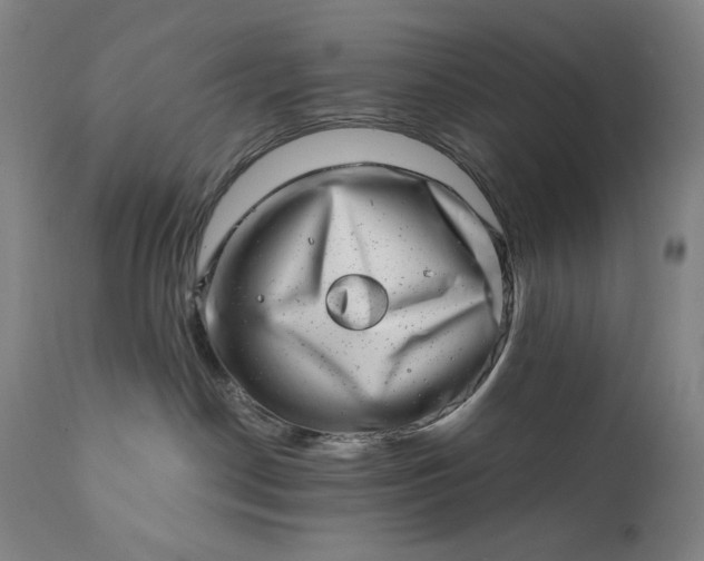 X0000113200190200909241408