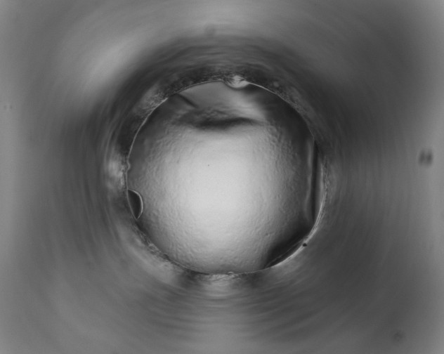 X0000113200191200909241408