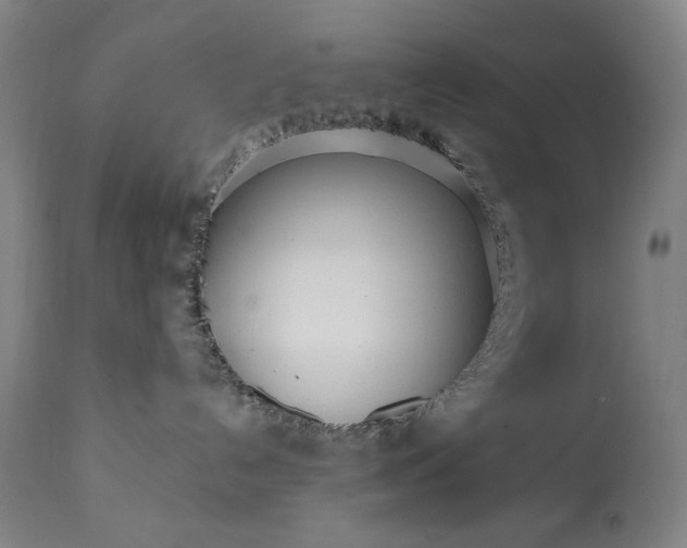 X0000113200192200909241408