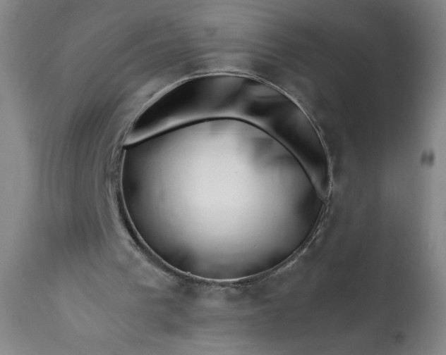 X0000113200193200909241407