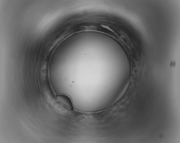 X0000113200194200909241407