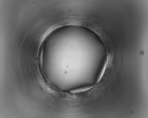 X0000113200195200909241407