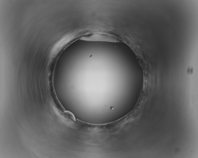 X0000113200197200909241407