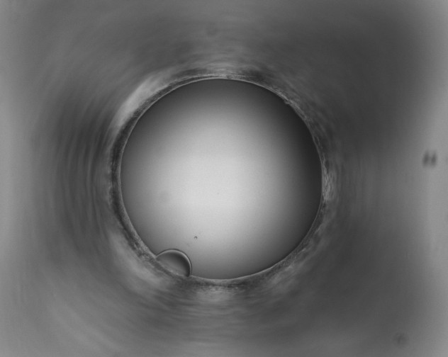 X0000113200198200909241407