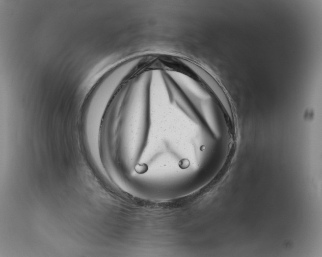 X0000113200199200909241407