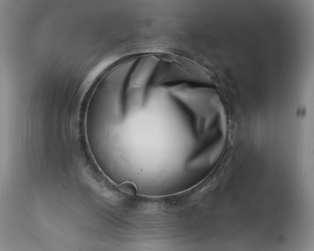 X0000113200200200909241407