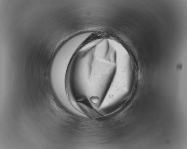 X0000113200201200909241407