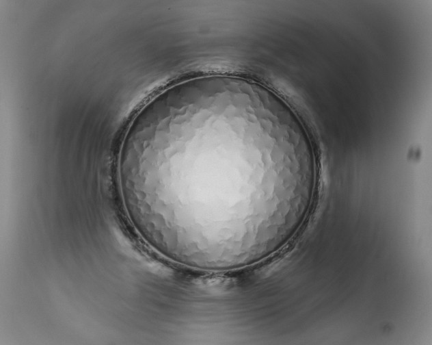 X0000113200202200909241407