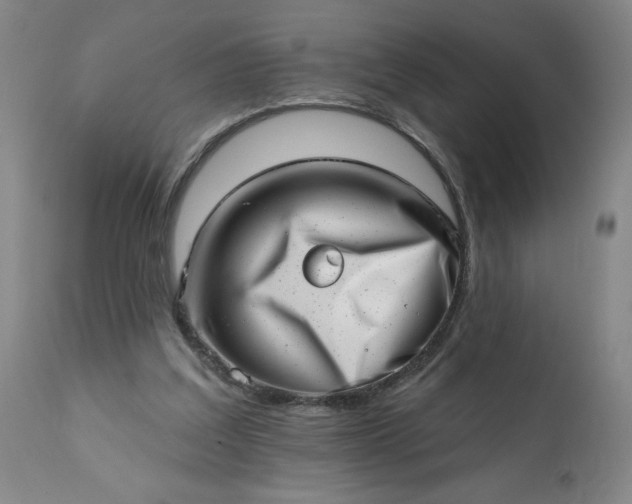 X0000113200203200909241407