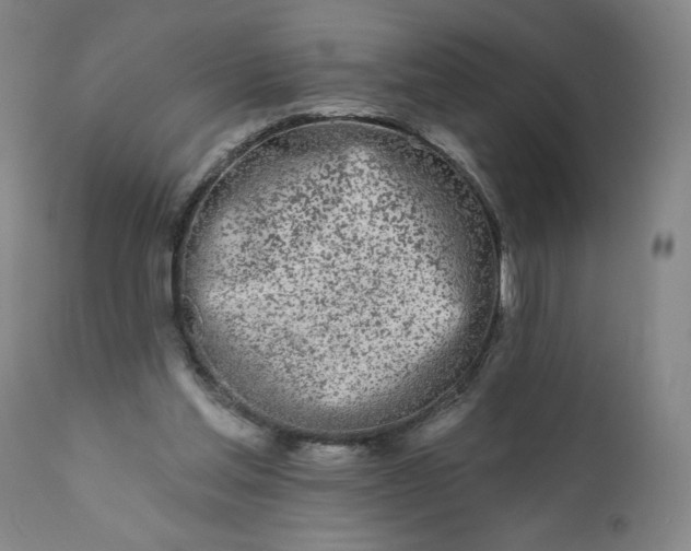 X0000113200205200909241407