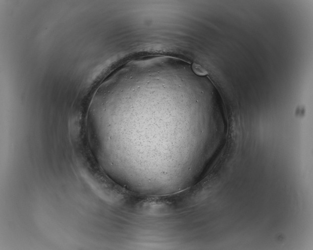 X0000113200208200909241407