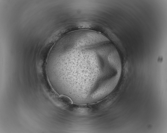 X0000113200209200909241407