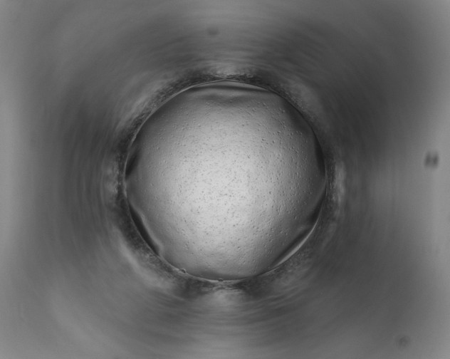 X0000113200210200909241407