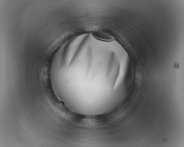 X0000113200211200909241407