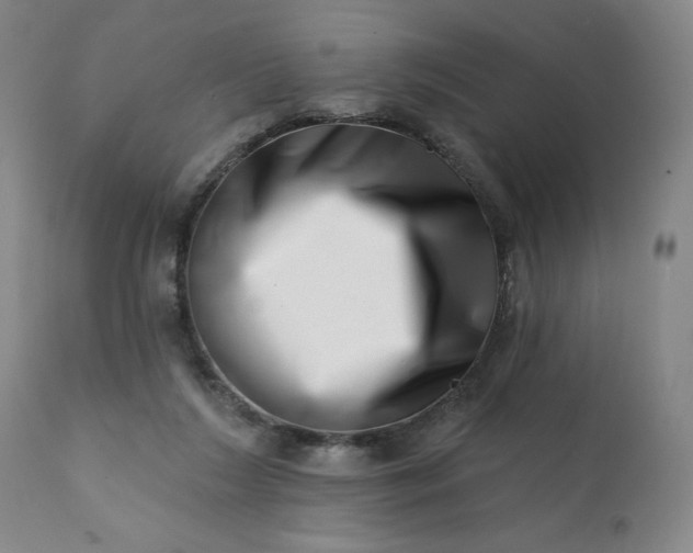 X0000113200212200909241407