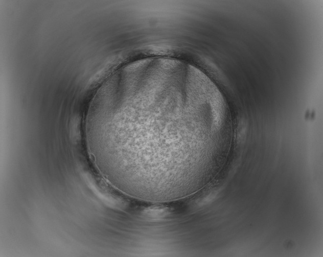 X0000113200213200909241407