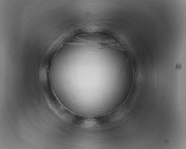 X0000113200214200909241407