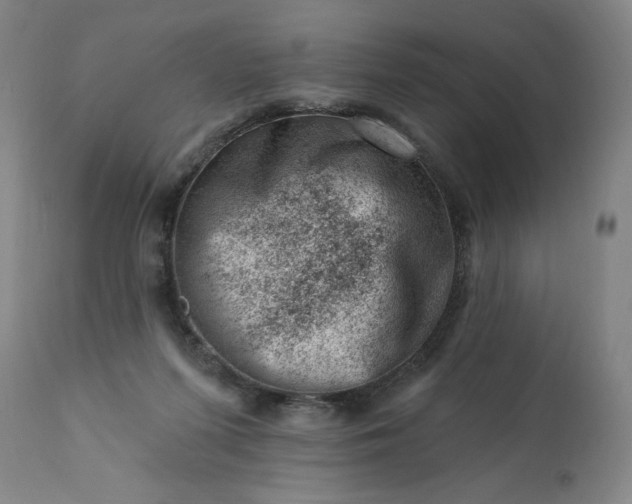 X0000113200215200909241407