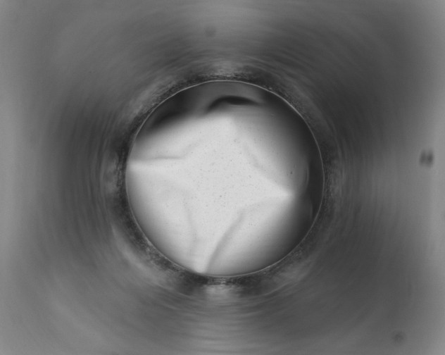 X0000113200216200909241407