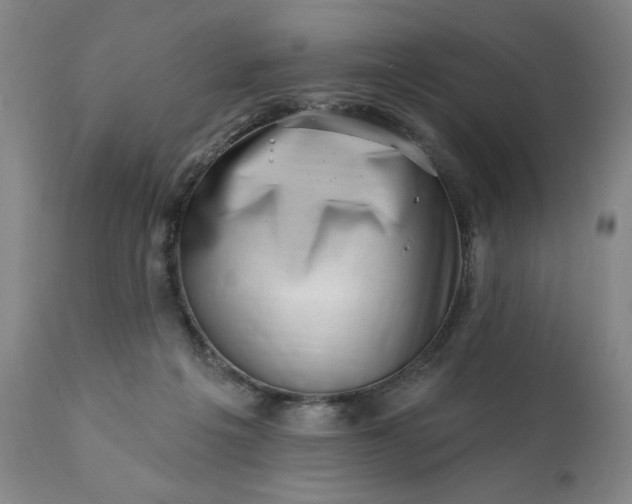 X0000113200217200909241407