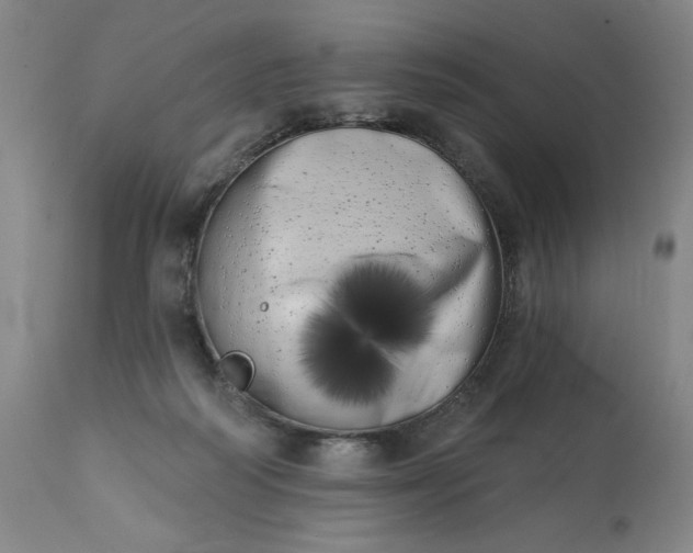 X0000113200218200909241407