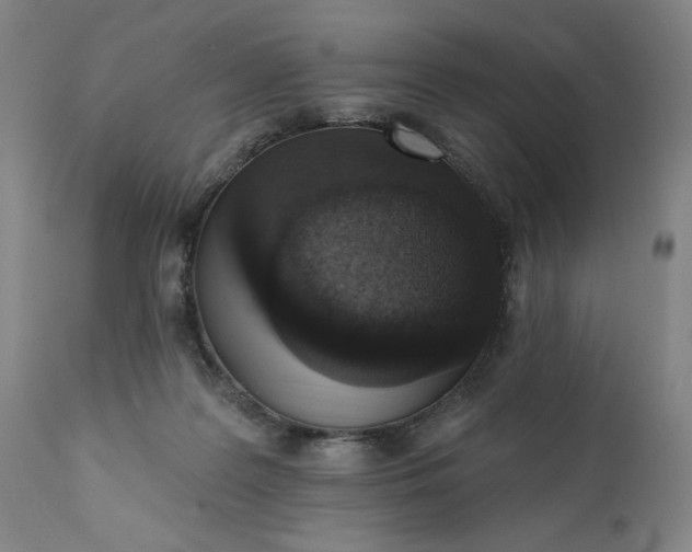 X0000113200219200909241407