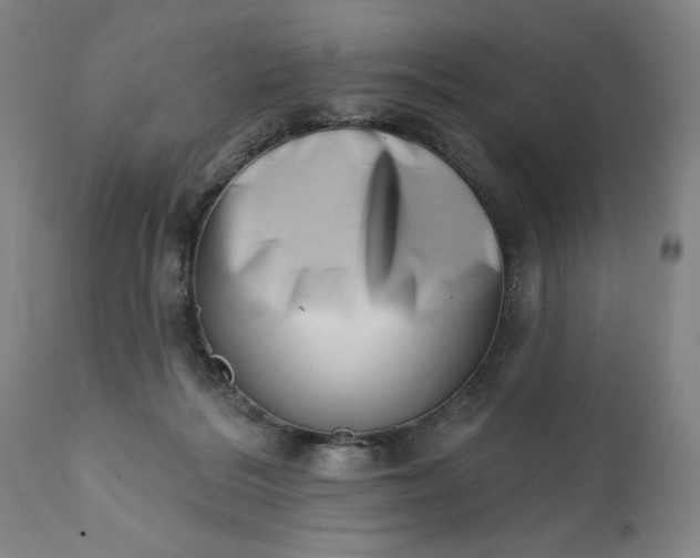 X0000113200220200909241407