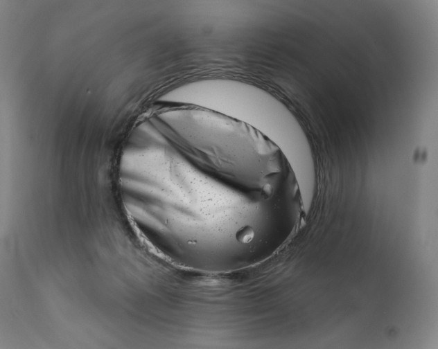 X0000113200221200909241407