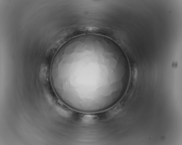 X0000113200222200909241407