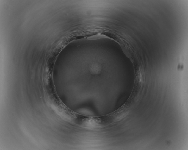 X0000113200223200909241407