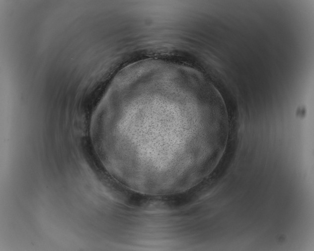 X0000113200224200909241407