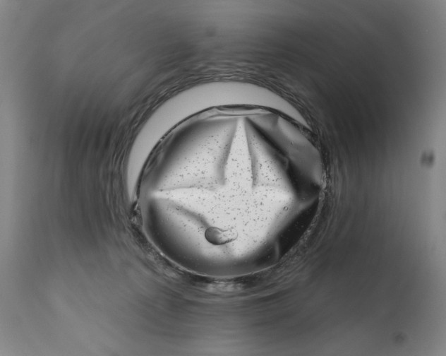 X0000113200225200909241407