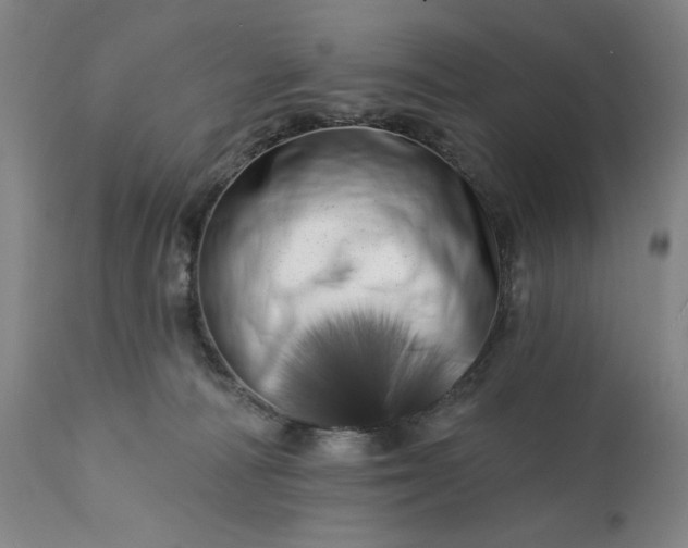 X0000113200226200909241407