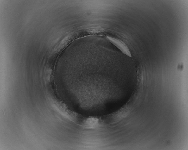 X0000113200227200909241407