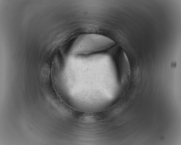 X0000113200228200909241407