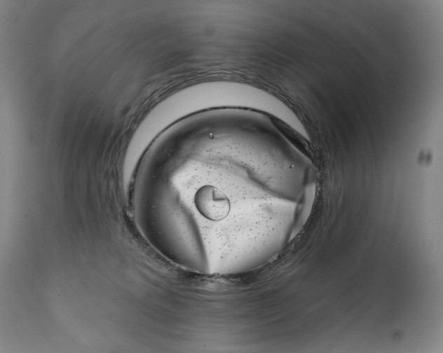 X0000113200229200909241407