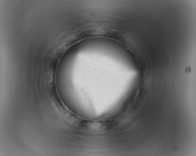 X0000113200230200909241407