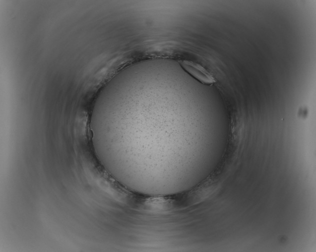 X0000113200231200909241407