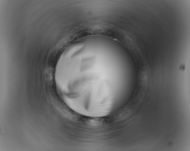 X0000113200232200909241407