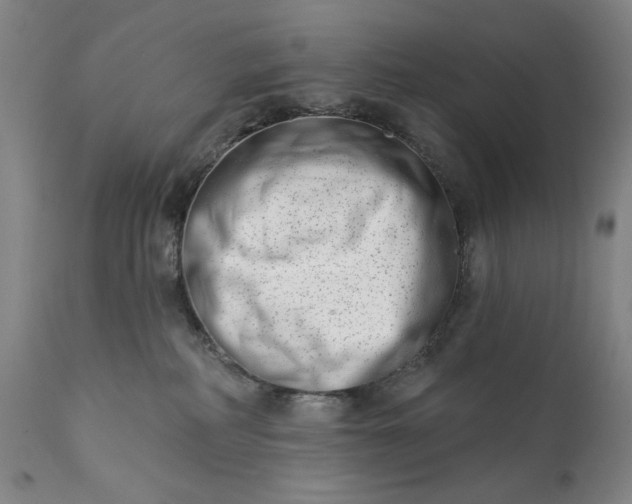 X0000113200234200909241407