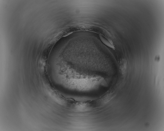 X0000113200235200909241407