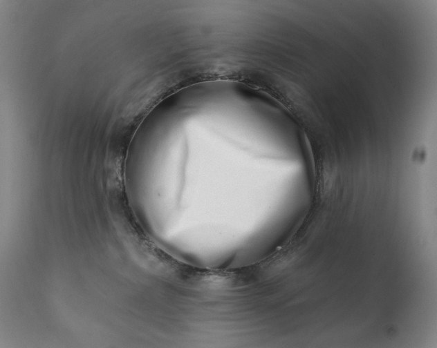 X0000113200236200909241407