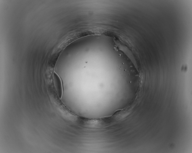 X0000113200237200909241407