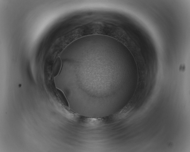 X0000113200239200909241407