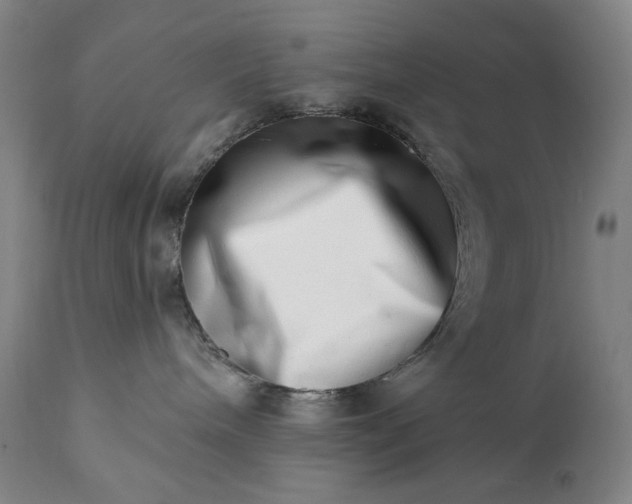 X0000113200240200909241406