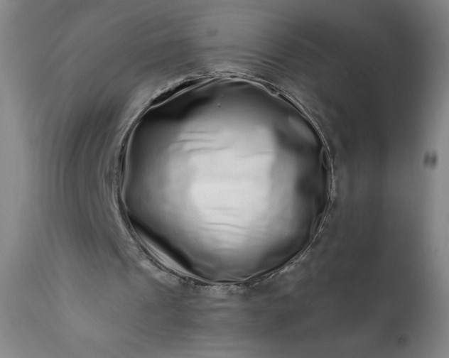 X0000113200241200909241406