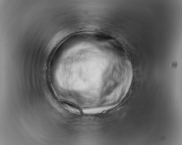 X0000113200242200909241406