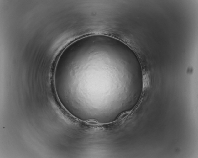 X0000113200243200909241406