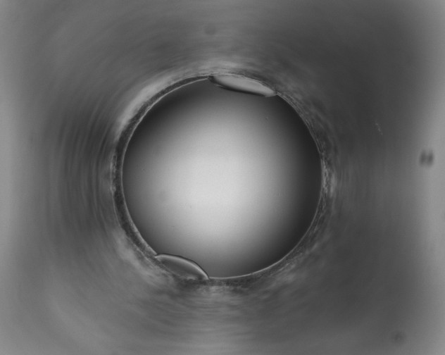 X0000113200244200909241406