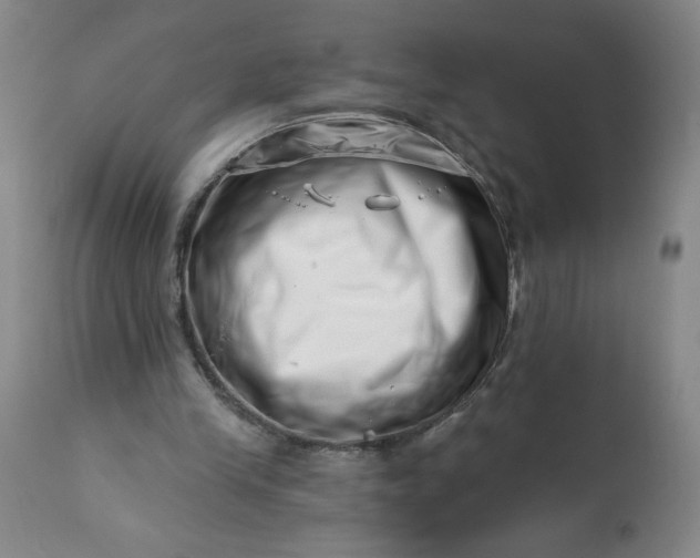 X0000113200245200909241406